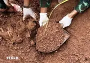Quảng Ninh đẩy mạnh chiến dịch tìm kiếm, xác định danh tính hài cốt liệt sỹ