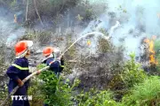 Quảng Trị: Cháy rừng tại giáp ranh hai xã Quảng Ninh và Ninh Châu