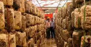 Quảng Trị giảm nghèo thông tin, tăng tốc trí thức hóa nông dân