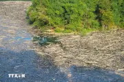 Rác và gỗ phủ kín lòng hồ thủy điện Bản Vẽ sau lũ