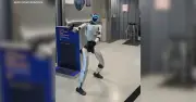 Robot hình người Bebop gây chậm chuyến bay vì pin lithium quá khổ