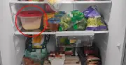 Sai lầm bảo quản thực phẩm trong tủ lạnh khiến cả nhà mắc ung thư gan
