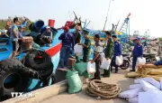Siết quản lý tàu cá: Đồng Tháp ngăn chặn vi phạm IUU từ gốc