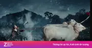 Sơn Tùng M-TP đưa đua bò Bảy Núi vào MV, gây sốt mạng xã hội