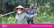 Săn trứng kiến trong rừng, kiếm tiền triệu mỗi ngày tại Quảng Trị