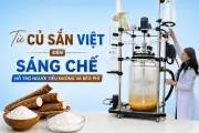 Sáng chế tinh bột sắn biến tính hỗ trợ điều trị béo phì và tiểu đường