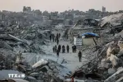 ĐSQ Việt Nam tại Israel triển khai bảo hộ công dân liên quan đoàn tàu tới Gaza