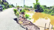 Sạt lở đe dọa An Giang và Đồng Tháp: Nguyên nhân và giải pháp cấp bách