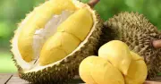 Sầu riêng: Lợi ích dinh dưỡng và cảnh báo cho sức khỏe