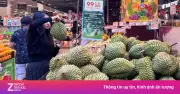 Sầu riêng rớt giá: Nông dân khóc, thương lái cười vì chênh lệch lớn