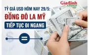 Tỷ giá USD hôm nay 29/5: Đồng đô la Mỹ tiếp tục đi ngang