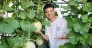 Từ thất bại đến khu vườn sân thượng cung cấp 80% rau trái cho gia đình