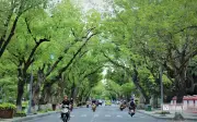 Đặt tên đường ở Huế: Giữa bản sắc di sản và khát vọng đô thị thông minh