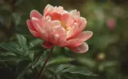 Tử vi tiết lộ 4 giờ sinh âm lịch của người dễ thành công nhờ chăm chỉ