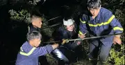 Tai nạn giao thông nghiêm trọng trên đèo An Khê, 12 người thương vong