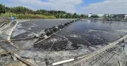 Tai nạn điện tại đầm tôm, người đàn ông tử vong ở Tây Ninh