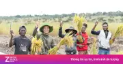 Team Châu Phi của Quang Linh Vlogs gặp biến động nội bộ sau khi trụ cột vướng lao lý