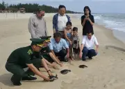 Thả 3 cá thể rùa biển nguy cấp, quý hiếm trong Sách đỏ Việt Nam về biển