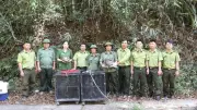 Thả 5 cá thể động vật hoang dã về Vườn Quốc gia Chư Yang Sin