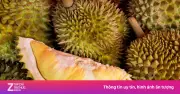 Thủ phủ sầu riêng Thái Lan tiêu điều sau bão, nông dân khóc ròng