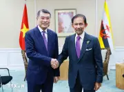 Thủ tướng Lê Minh Hùng gặp Quốc vương Brunei Haji Hassanal Bolkiah
