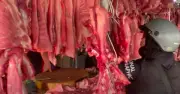 Thị trường heo hơi đầu tuần ổn định, giá dao động 66.000-70.000 đồng/kg