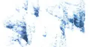 Thỏ tuyết ẩn mình trên Alps giành giải nhiếp ảnh thiên nhiên