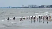 Thanh Hóa đón 1,72 triệu lượt khách trong hai đợt nghỉ lễ, tổng thu du lịch đạt 4.330 tỷ đồng