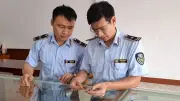Thanh Hóa phạt 180 triệu doanh nghiệp kinh doanh vàng không rõ nguồn gốc