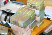 Thanh tra NHNN: Vikki Bank chịu ảnh hưởng nặng từ vụ án cũ, hoạt động suy giảm