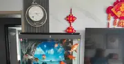 Thác nước hồ cá phong thủy: 4 cách bố trí đúng để kích hoạt thủy khí