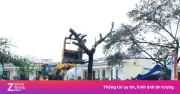 Thái Nguyên: 5 người bị thương, 309 nhà tốc mái sau trận mưa đá