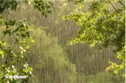 Thời tiết ngày 4/5: Hà Nội có mưa rào và dông vài nơi
