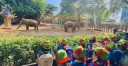Thảo Cầm Viên mở loạt hoạt động hè cho trẻ: chăm sóc thú, tour đêm