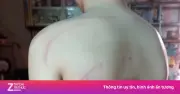 Thầy giáo dạy thêm ở Đồng Tháp dùng cành cây đánh học sinh bị phạt 7 triệu