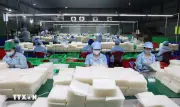 Tiêu chuẩn, điều kiện bổ nhiệm người quản lý doanh nghiệp nhà nước