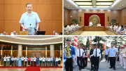 Tổng Bí thư, Chủ tịch nước chủ trì họp về nghiên cứu khoa học cơ bản