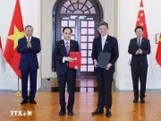 Tổng Bí thư, Chủ tịch nước Tô Lâm và Thủ tướng Singapore chứng kiến lễ trao văn kiện hợp tác