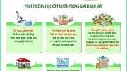 Tổng Bí thư Tô Lâm yêu cầu phát triển y học cổ truyền trong chiến lược quốc gia