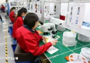 Tăng cường thực thi hiệu quả Công ước về quyền của người khuyết tật
