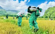 Tình quân dân thắm đượm trên cánh đồng biên giới Quảng Trị