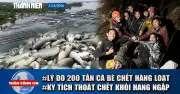 Toàn cảnh 17h: 200 tấn cá chết ở hồ Trị An, quy định mang tiền vàng khi xuất nhập cảnh