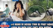 Toàn cảnh 17h ngày 17/5/2026: Quang Lập bolero bị khởi tố, cướp vàng ở Gia Lai
