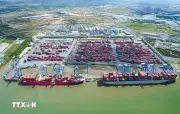 TP Hồ Chí Minh muốn trở thành cảng trung chuyển động lực cho kinh tế biển