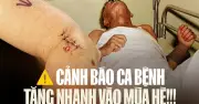 TP HCM ghi nhận 4 ca tử vong do bệnh dại từ đầu năm, tăng 3 ca