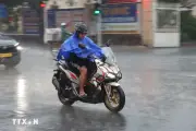TP.HCM đón mưa vàng giải nhiệt giữa đợt nắng nóng kéo dài
