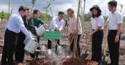 TP.HCM phát động Tết trồng cây 2026, hướng tới đô thị xanh bền vững