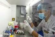 TP.HCM thu hút và phát triển nguồn nhân lực sau đại học