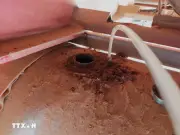TP.HCM tạm giữ tàu chở 10.000 lít dầu DO không rõ nguồn gốc