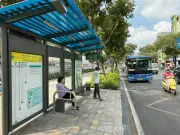 TP.HCM đề xuất miễn vé xe buýt 8 tháng năm 2026: Giải pháp nào cho giao thông bền vững?